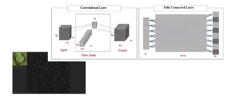 Fully‑automatic natural plant recognition system using deep neural network for dynamic outdoor environments
